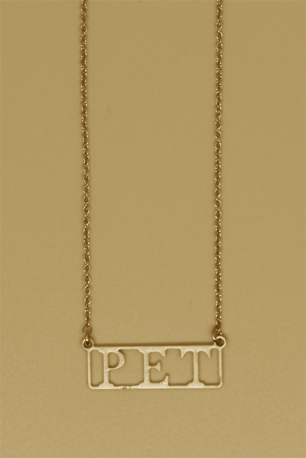 Pet 18k Gold Plated Necklace