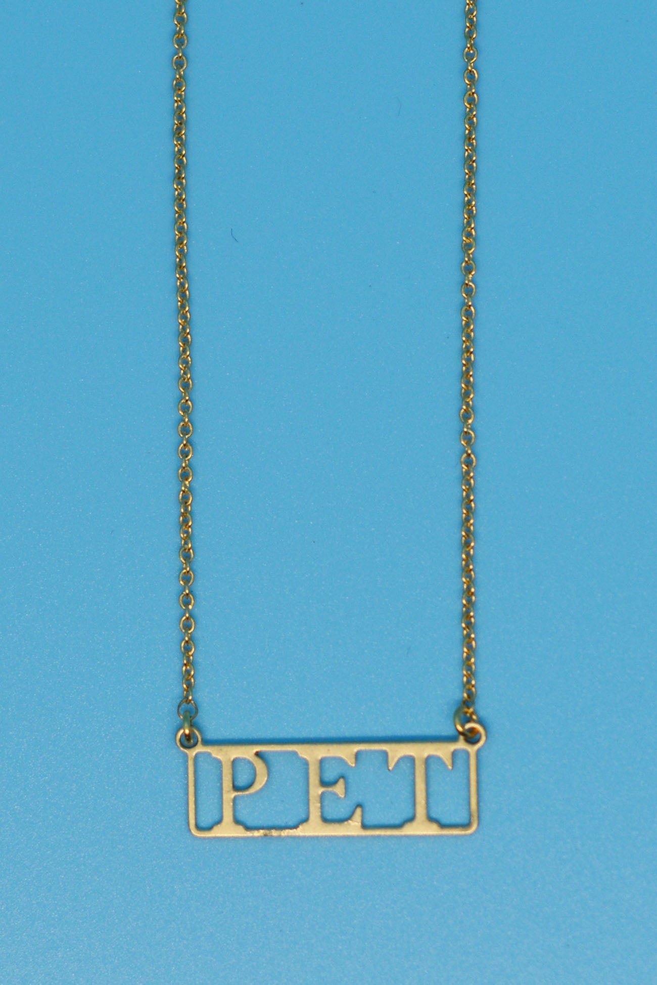 Pet 18k Gold Plated Necklace
